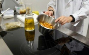 Au Pays basque espagnol, rencontres entre la haute cuisine et la science