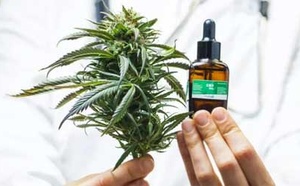 Taounate : La filière de la transformation licite du cannabis prend racine et redessine l’économie locale