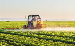 De l’élevage aux engrais: Le Maroc veut ouvrir un nouvel horizon commercial avec l’Argentine De l’élevage aux engrais: Le Maroc veut ouvrir un nouvel horizon commercial avec l’Argentine