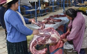 La viande de lama, pari gastronomique de la Bolivie