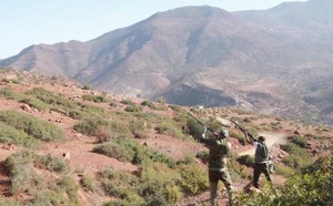 Lancement de la saison de chasse 2025-2026 au niveau de la région Marrakech-Safi