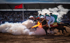 Près de 150.000 visiteurs au 16e Salon du cheval d’El Jadida