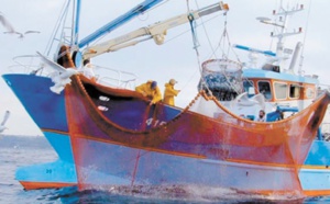 Hausse des produits commercialisés de la pêche côtière et artisanale