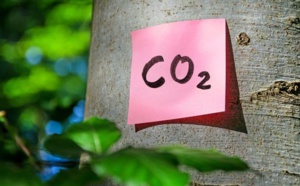 Les végétaux s'adaptent mieux au réchauffement