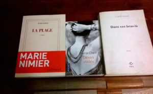 Jean Zaganiaris au Salon du livre de Paris