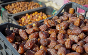 Campagne agricole 2025-2026: La production prévisionnelle des dattes s’élève à 160.000 tonnes