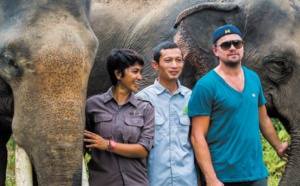 DiCaprio dans la jungle indonésienne pour soutenir des défenseurs de la nature