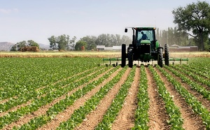 Boujdour : Des projets hydro-agricoles d'envergure pour une agriculture durable au cœur du Sahara