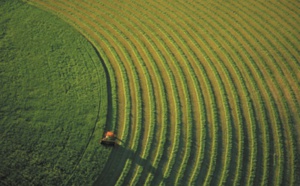 Pour une agriculture compétitive, durable et résiliente