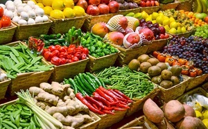 Fruits et légumes : Maroc Fruit Board lance la campagne export 2025/2026