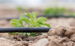 La durabilité hydrique passe par la mise en place de solutions fondées sur la nature