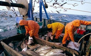 «Halieutis» Les chiffres flatteurs de Madame la secrétaire d’Etat