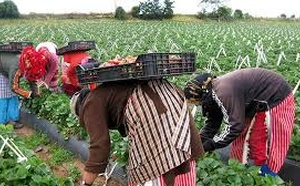 Transition agroécologique : Signature à Rabat de six conventions de partenariat pour accompagner les petites exploitations agricoles