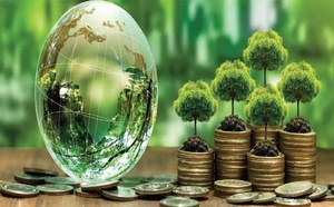 Comment la transition verte peut soutenir le développement de l'Afrique