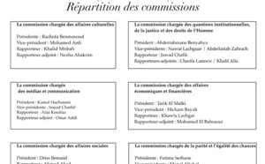 Structuration de la Commission nationale des élections