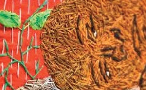 Vernissage d'une exposition nationale retraçant "60 ans de peinture au Maroc"