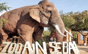 Le parc zoologique d’Aïn Sebaâ rouvre ses portes après un vaste réaménagement