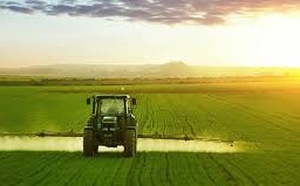 Settat : Les récentes précipitations de bon augure pour l’agriculture et les nappes phréatiques