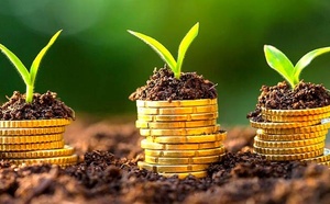 Le PNUD Maroc fédère les investisseurs autour de la croissance durable