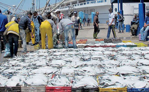 Etat des stocks halieutiques en Méditerranée marocaine