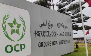 L’AIEA et le groupe OCP unissent leurs efforts pour des systèmes alimentaires résilients