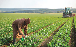 Agriculture : L'ADA lance un appel à projet d'Alliances Productives