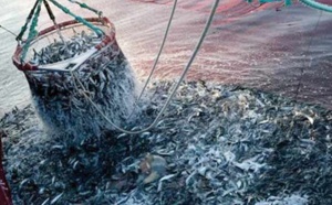 Hausse des produits commercialisés de la pêche côtière et artisanale
