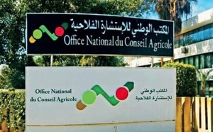 La Direction régionale du conseil agricole de Souss-Massa participe à la 13ème édition du Festival de l'Amandier à Tafraout