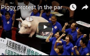 Piggy proteste au parlement à Taiwan