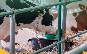 Production animale : un tournant stratégique à l’aune de la durabilité