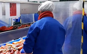 Andalousie : Participation marocaine à une rencontre commerciale dédiée à l'agroalimentaire