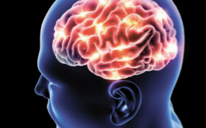 Santé : La maladie d'Alzheimer, une réaction à une infection ?