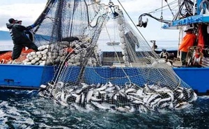 Port de Mehdia: Baisse de 34% des débarquements de pêche à fin mars