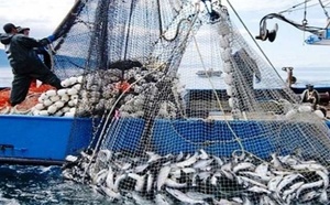 Ports situés sur la Méditerranée: Hausse de 11% des débarquements de pêche à fin avril