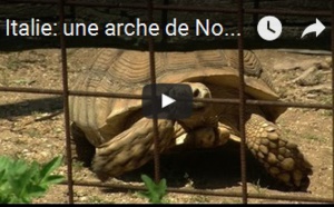 Italie: une arche de Noé pour animaux exotiques saisis