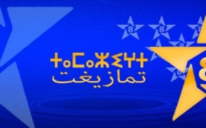 Injustice cathodique : Khalfi interpellé par les associations amazighes