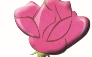 L’USFP en rangs serrés à Agadir en vue des prochaines échéances électorales L’USFP en rangs serrés à Agadir en vue des prochaines échéances électorales