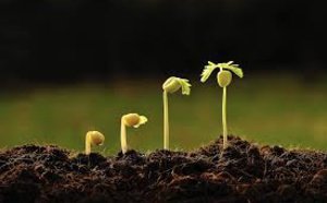 Moderniser le circuit technique de l'agriculture  à Tadla