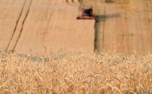 Manger plus de céréales complètes réduirait le risque de mortalité