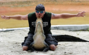 Plus d'alligators, plus d'humains, la cohabitation tourne au drame en Floride
