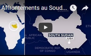 Affrontements au Soudan du Sud : au moins 272 morts au lendemain du cinquième anniversaire de son indépendance