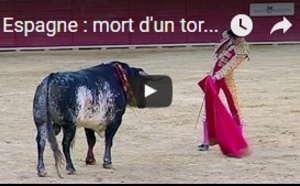 Espagne : mort d'un torero dans l'arène