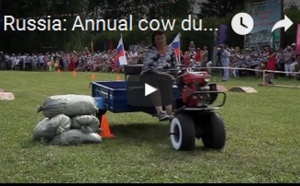 Le lancer de bouses de vaches séchées à son festival dans l'Oural en Russie