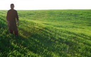 Le revenu des agriculteurs multiplié par 2,7 grâce au DRIP
