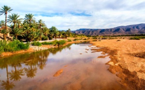 Trois initiatives complémentaires à la COP22 au nom du Maroc