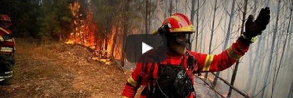 Le Portugal face aux flammes