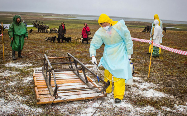 ­Dans le permafrost, virus et bactéries attendent le dégel