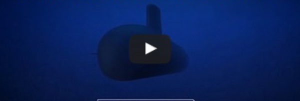 La DCNS a subi des fuites massives de documents