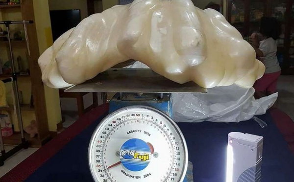 Insolite : Perle bien cachée
