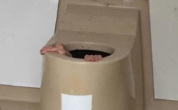 Insolite : Coincé dans les toilettes